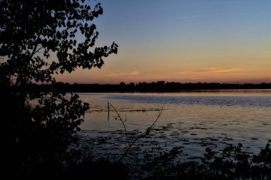 Sonbaharda gün batımında bir gölde yüzen bir dal.
