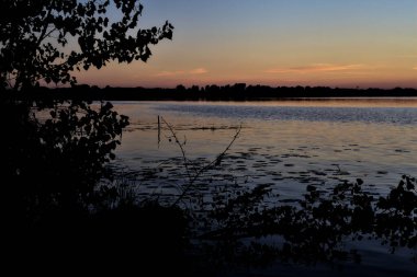 Sonbaharda gün batımında bir gölde yüzen bir dal.