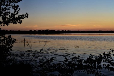 Sonbaharda gün batımında bir gölde yüzen bir dal.