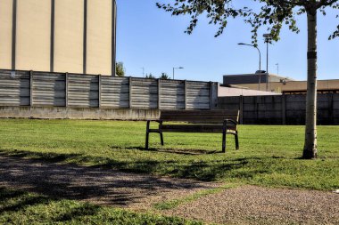Güneşli bir günde, bir parkta, bir ağacın altında.