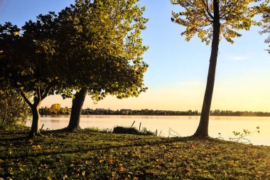 Sonbaharda günbatımında nehir kenarındaki ağaçlar