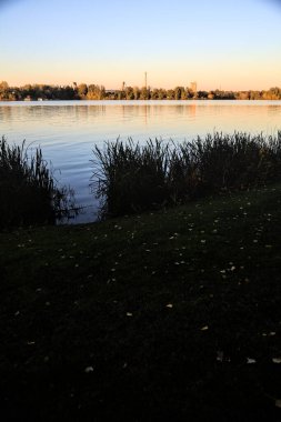Kışın gün batımında nehir kenarındaki sazlıklar