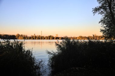 Kışın gün batımında nehir kenarındaki sazlıklar