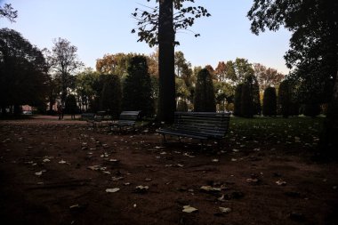 Sonbaharda alacakaranlıkta parkta yürüyüş.