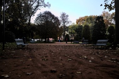 Sonbaharda alacakaranlıkta parkta yürüyüş.