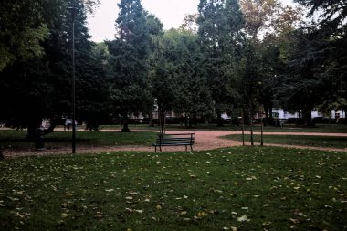 Sonbaharda alacakaranlıkta bir parkta bankta