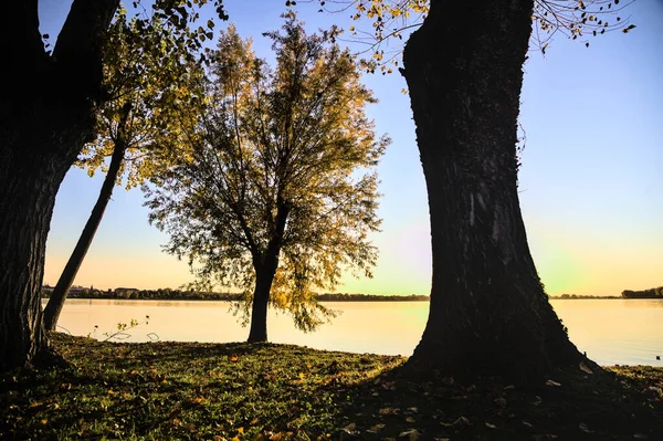 Sonbaharda günbatımında nehir kenarındaki ağaçlar