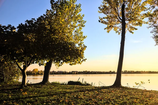 Sonbaharda günbatımında nehir kenarındaki ağaçlar