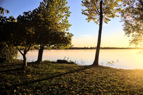 Drzewa Nad Brzegiem Rzeki Zachodzie Słońca Jesienią — Zdjęcie stockowe