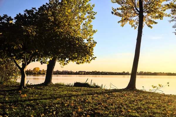 Sonbaharda günbatımında nehir kenarındaki ağaçlar