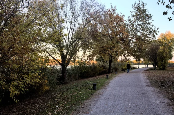 Schotterweg Flussufer Einem Park Bei Sonnenuntergang Herbst Mit Spaziergängern — Stockfoto