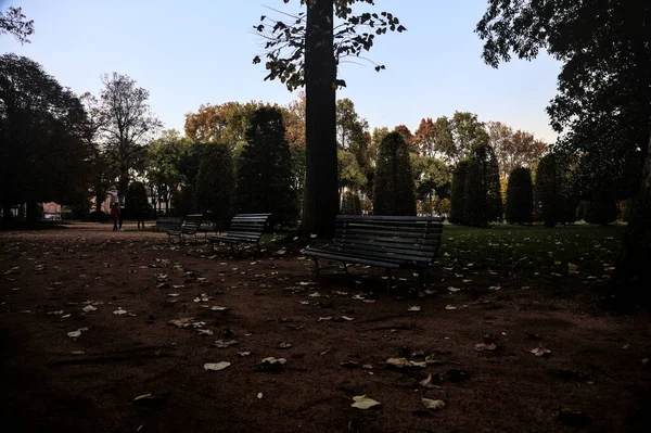 Sonbaharda alacakaranlıkta parkta yürüyüş.