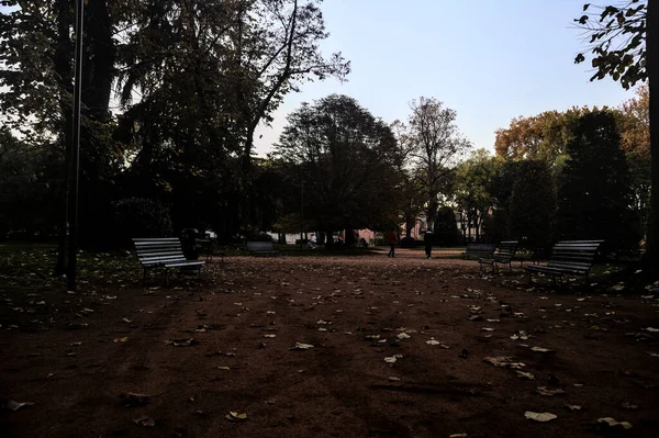 Sonbaharda alacakaranlıkta parkta yürüyüş.