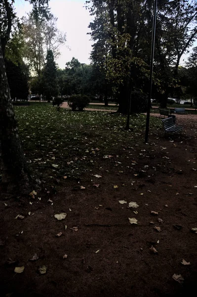 Promenade Dans Parc Crépuscule Automne — Photo