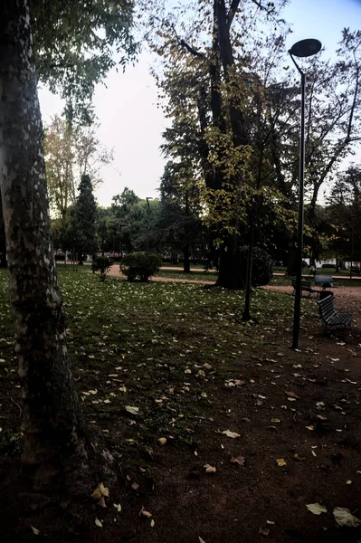 Прогулянка Парку Сутінках Восени — стокове фото