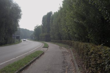 Bulutlu bir günde ağaçlarla çevrili bir yol