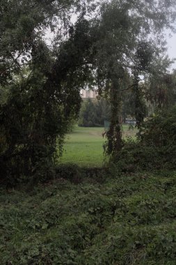 Metal bir çitin yanındaki bir ağacın kemeriyle çerçevelenmiş bir bahçede açık alan.