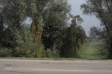 Bulutlu bir günde parkın önünden geçen bir yol.