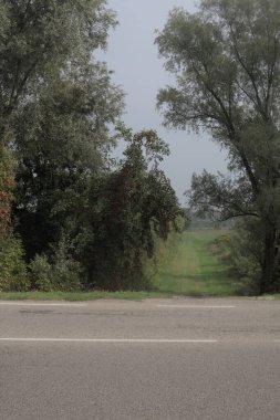 Bulutlu bir günde parkın önünden geçen bir yol.