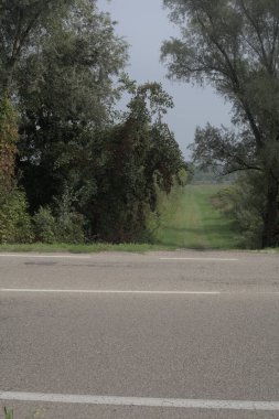 Bulutlu bir günde parkın önünden geçen bir yol.