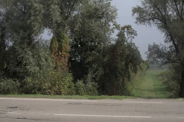 Bulutlu bir günde parkın önünden geçen bir yol.