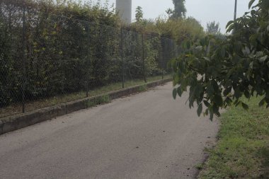 Bulutlu bir günde ağaçlarla çevrili bir yol