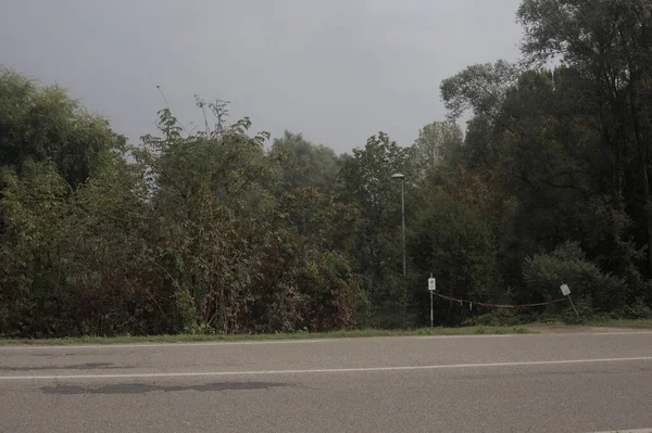 Bulutlu bir günde parkın önünden geçen bir yol.