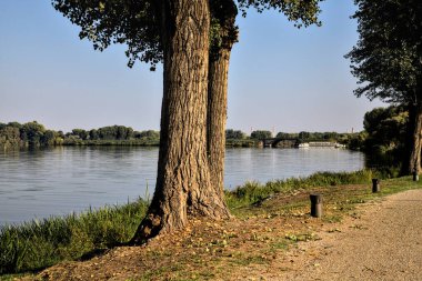 Göl kıyısında ağaçlarla çevrili çakıl yolu.
