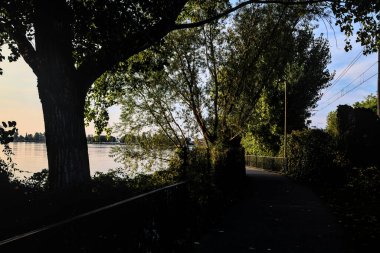 Gün batımında gölde ağaçların siluetiyle çerçevelenmiş.