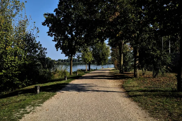 Gravel Path Bordered Trees Shore Lake — Stock Photo, Image