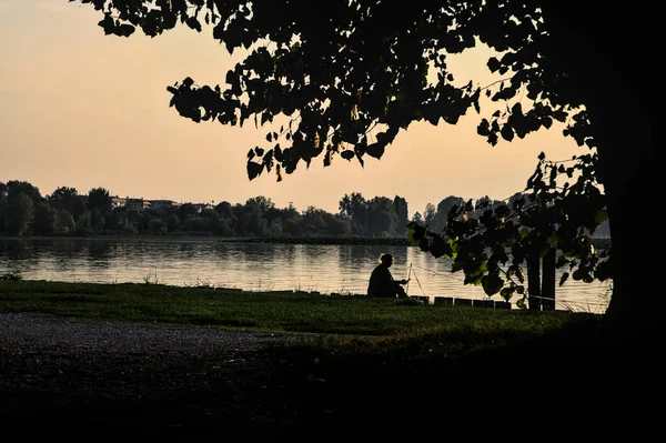 Gün batımında gölde ağaçların siluetiyle çerçevelenmiş.