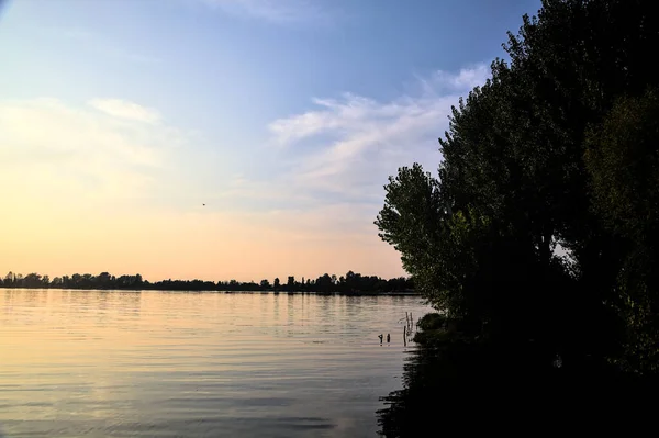 Jezioro Zachodzie Słońca Otoczone Sylwetką Drzew — Zdjęcie stockowe