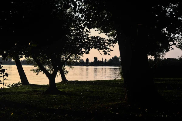 Lake Sunset Framed Silhouette Trees — 图库照片