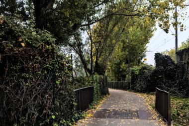 Kışın bulutlu bir günde ağaçlarla çevrili bir gölün kıyısındaki çakıl yolu.
