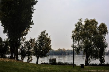 Bulutlu bir günde ağaçlar tarafından çerçevelenmiş göl