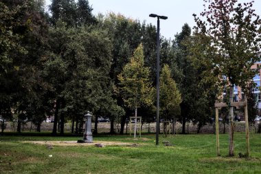 Arka planda ağaçlar olan parkta bir çeşme