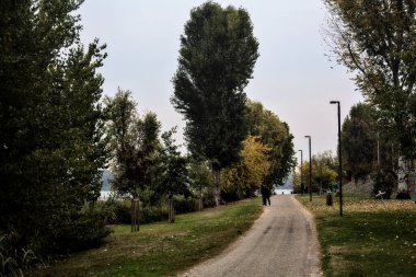 Kışın bulutlu bir günde ağaçlarla çevrili bir gölün kıyısındaki çakıl yolu.
