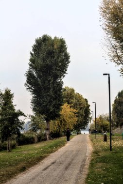 Kışın bulutlu bir günde ağaçlarla çevrili bir gölün kıyısındaki çakıl yolu.