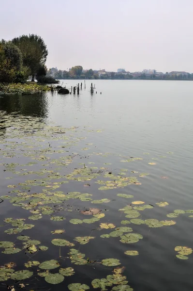 Kışın bulutlu bir günde göl