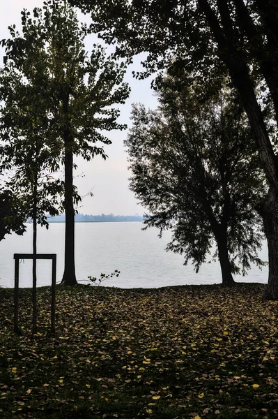 Lago Enmarcado Por Árboles Con Follaje Orilla —  Fotos de Stock