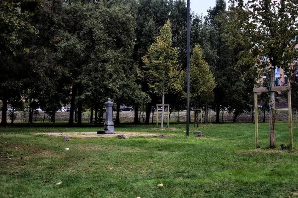 Public Fountain Park Trees Background — Stockfoto