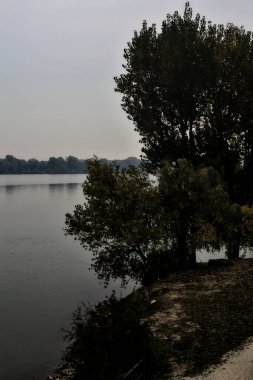 Kışın bulutlu bir günde göl