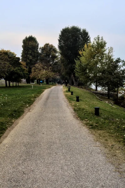 Sentiero Ghiaia Lungo Riva Lago Delimitato Alberi Una Giornata Nuvolosa — Foto Stock