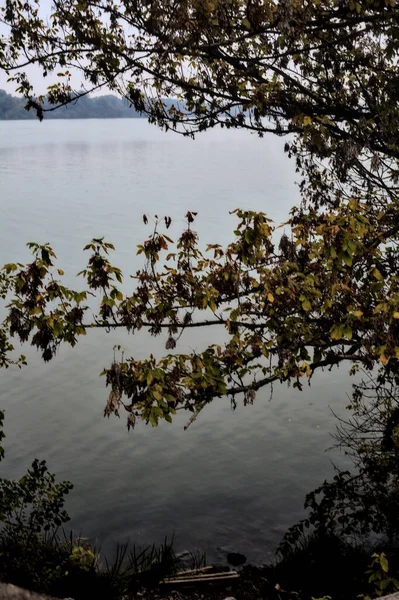 海岸に紅葉した木々に囲まれた湖 — ストック写真