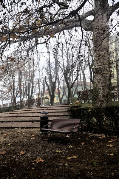 Paved Staircase Benches Next Park Foggy Day — стоковое фото