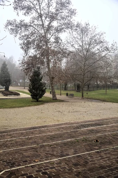 Sisli Bir Günde Bir Parkta Yanında Banklar Olan Merdivenler — Stok fotoğraf