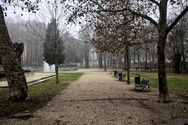 Gravel Path Benches Park Foggy Day — стоковое фото