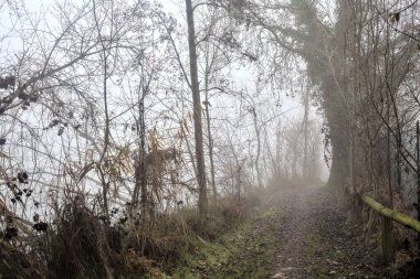İtalya 'nın kışın kırsalında sisli bir günde nehir kıyısındaki bir parkta yol.