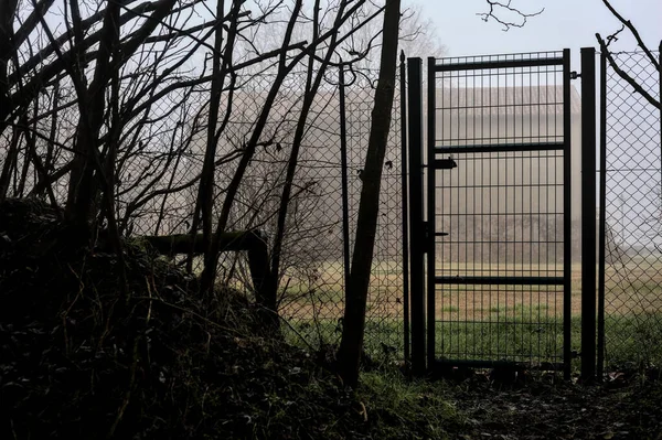 Metal Gate Fence Grove Next Field Foggy Day Italian Countryside — стоковое фото