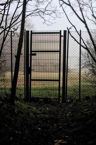 Metal Gate Fence Grove Next Field Foggy Day Italian Countryside — Fotografia de Stock